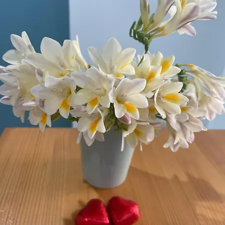 بيت ضيافة Casa Solmes أولبيا